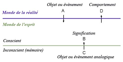 schema